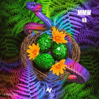 VA – MMW VA MNR025