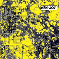 VA – The Secrets of the Trade 025 [Piston Recordings]