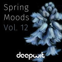 VA – Spring Moods, Vol. 12 [DeepWit Recordings]