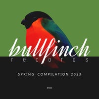 VA – Bullfinch Spring 2023 Compilation BF350