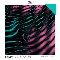 VA – Tones & Melodies Vol. 17 VMCOMP1055