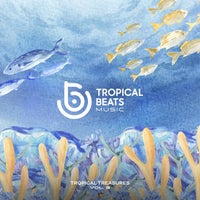 VA – Tropical Treasures, Vol. 3 [Tropical Beats Music]