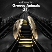 VA – Groove Animals 24 DG399L
