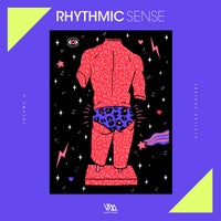 VA – Rhythmic Sense Vol. 8 VMCOMP1062
