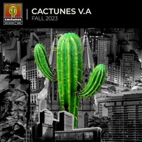 VA – V.A Fall 2023 [Cactunes Records]