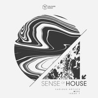 VA – Sense of House Issue 7 VOLTCOMP1183