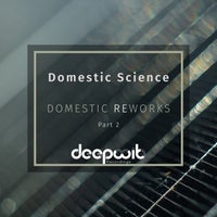 VA – Domestic Reworks, Pt. 2 [DWR142]