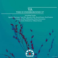 VA – This Is Underground 37 [MYC1225]
