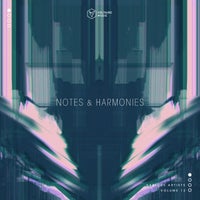 VA – Notes & Harmonies Vol. 12 VOLTCOMP1196