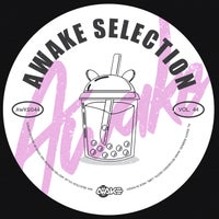 VA – AWK Selection Vol. 44 AWKS044