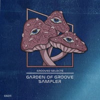 VA – Garden Of Groove Sampler GS011
