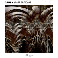 VA – Depth Impressions Issue 27 VOLTCOMP1190