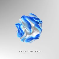 VA – Symbiosis Two [IMPRSSM015VA]