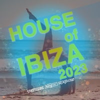 VA – House Of Ibiza 2023 [KSD480]