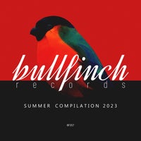 VA – Bullfinch Summer 2023 Compilation [BF357]