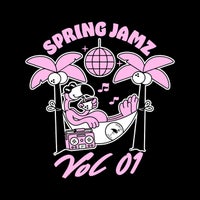 VA – Spring Jamz Vol 1 TDRCOMP004