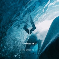 VA – Purified Fragments XV PF0126