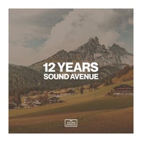 VA – 12 Years Sound Avenue [SA029LP]