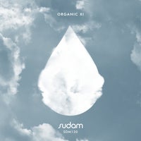VA – Organic XI SDM130