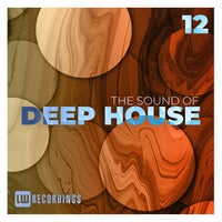 VA – The Sound Of Deep House Vol. 12 LWTSODH12