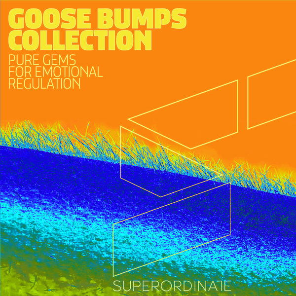 VA – Goose Bumps Collection Vol. 10 SUPER509