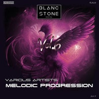 VA – Melodic Progression Vol. 6 [BSD2023321]