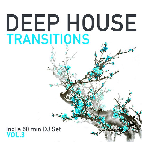 VA – Transitions Vol. 3 VPTRCD46
