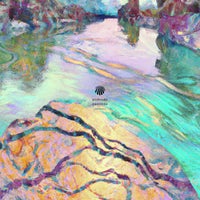 VA – The Mechanical Orchestra PDVD021