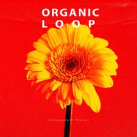 VA – Independent Flower [OL044]