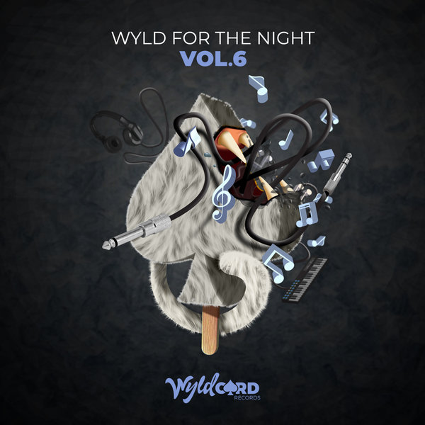 VA – Wyld For The Night Vol.6 WYLD144MB