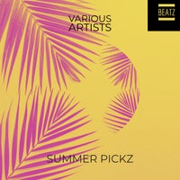 VA – SUMMER PICKZ [BTZ477]