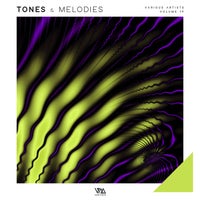 VA – Tones & Melodies Vol. 19 [VMCOMP1106]