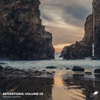 VA – Sensations, Vol. 03 [LSCVIB019]