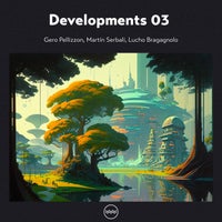 VA – Developments 03 [TFL030]