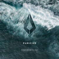 VA – Purified Fragments XVI [PF0131]