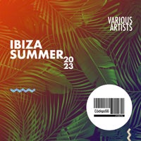 VA – C56 VA Summer Ibiza 2023 036