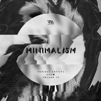 VA – Minimalism, Vol. 14 [VMCOMP1128]