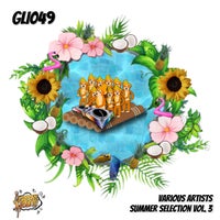 VA – Various Artists Summer Selection Vol. 3 GLI049