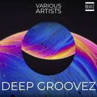 VA – Deep Groovez [BTZ499]