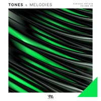 VA – Tones & Melodies, Vol. 20 [VMCOMP1127]