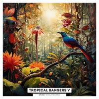 VA – Tropical Bangers V [ORVA05]