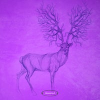 VA – Seamless Transitions [STT231]