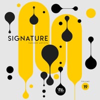 VA – Variety Music Pres. Signature, Vol. 19 [VMCOMP1139]