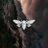 VA – Distorted Reality Vol. II [CR015]