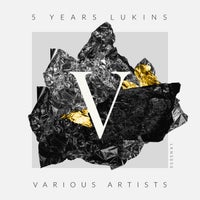 VA – 5 Years Lukins [LKNS050]