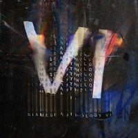 VA – Siamese Anthology VI SIAMESE040