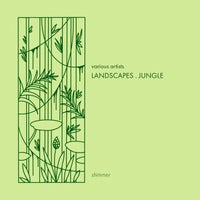 VA – LANDSCAPES . JUNGLE . shimmer QNELA001