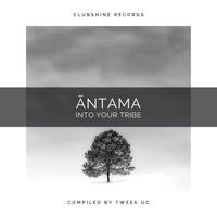 VA – Ã£ntama (Compiled by TWEEK UC) CSR123