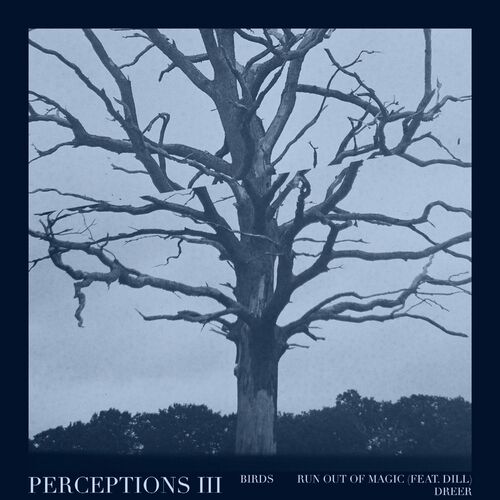 VA – Perceptions III LNX14