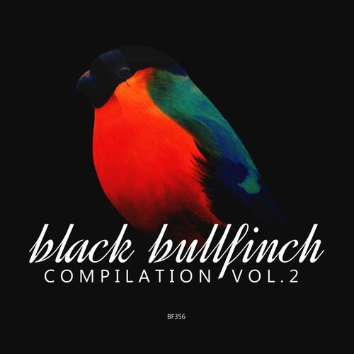 VA – Black Bullfinch Compilation, Vol. 2 [BF369]